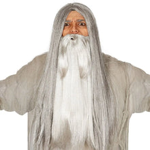 Load image into Gallery viewer, Fancy Dress Grey Long Wig