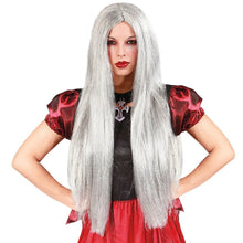 Load image into Gallery viewer, Fancy Dress Grey Long Wig