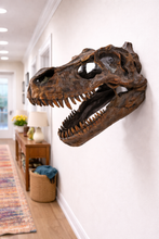 Load image into Gallery viewer, Dinosaur skull mounted on a wall in a home interior