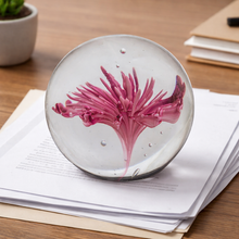 Load image into Gallery viewer, Clear glass sphere with pink flower inside on top of a book