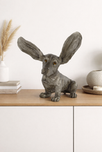 Load image into Gallery viewer, Silver Surprised Basset
