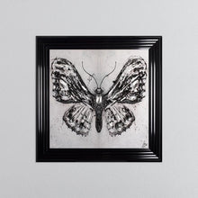 Load image into Gallery viewer, Abstract White Butterfly Framed Wall Art 75*75cm