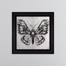 Load image into Gallery viewer, Abstract White Butterfly Framed Wall Art 75*75cm