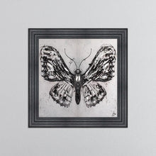Load image into Gallery viewer, Abstract White Butterfly Framed Wall Art 75*75cm