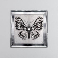 Load image into Gallery viewer, Abstract White Butterfly Framed Wall Art 75*75cm
