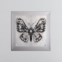 Load image into Gallery viewer, Abstract White Butterfly Framed Wall Art 75*75cm