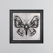 Load image into Gallery viewer, Abstract White Butterfly Framed Wall Art 75*75cm