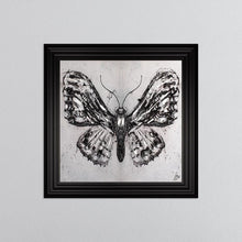 Load image into Gallery viewer, Abstract White Butterfly Framed Wall Art 75*75cm