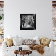 Load image into Gallery viewer, Monochrome Path Framed Wall Art