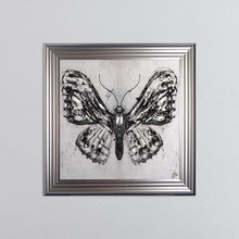 Load image into Gallery viewer, Abstract White Butterfly Framed Wall Art 75*75cm