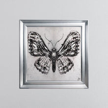 Load image into Gallery viewer, Abstract White Butterfly Framed Wall Art 75*75cm