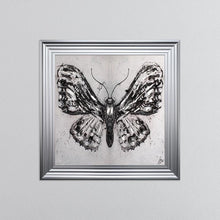 Load image into Gallery viewer, Abstract White Butterfly Framed Wall Art 75*75cm