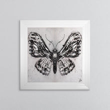 Load image into Gallery viewer, Abstract White Butterfly Framed Wall Art 75*75cm