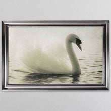 Load image into Gallery viewer, Swan Lake Framed Wall Art