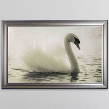 Load image into Gallery viewer, Swan Lake Framed Wall Art