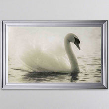Load image into Gallery viewer, Swan Lake Framed Wall Art