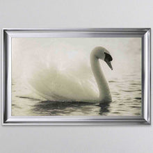 Load image into Gallery viewer, Swan Lake Framed Wall Art