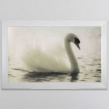 Load image into Gallery viewer, Swan Lake Framed Wall Art
