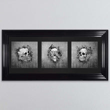 Load image into Gallery viewer, Three Wise Skulls Triptych Framed Wall Art