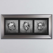 Load image into Gallery viewer, Three Wise Skulls Triptych Framed Wall Art