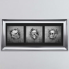 Load image into Gallery viewer, Three Wise Skulls Triptych Framed Wall Art