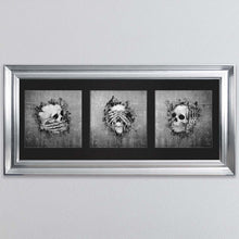Load image into Gallery viewer, Three Wise Skulls Triptych Framed Wall Art