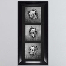 Load image into Gallery viewer, Three Wise Skulls Triptych Framed Wall Art
