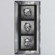 Load image into Gallery viewer, Three Wise Skulls Triptych Framed Wall Art