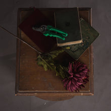 Load image into Gallery viewer, Spider Chrysanthemum Flower Single Stem