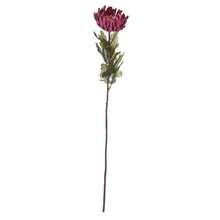 Load image into Gallery viewer, Spider Chrysanthemum Flower Single Stem