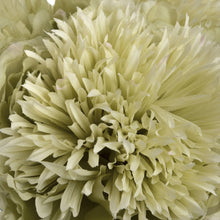 Load image into Gallery viewer, Green Peony Single Stem