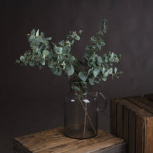 Load image into Gallery viewer, Variegated Eucalyptus Single Stem