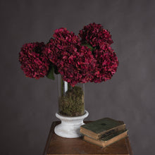 Load image into Gallery viewer, Autumn Ruby Hydrangea Single Stem