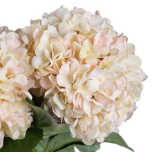 Load image into Gallery viewer, Autumn White Hydrangea Single Stem