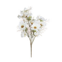 Load image into Gallery viewer, Cream Cosmos Spray Single Stem