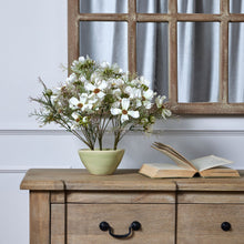 Load image into Gallery viewer, Cream Cosmos Spray Single Stem