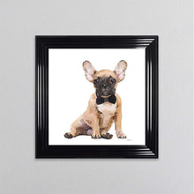 Load image into Gallery viewer, Brown Frenchie Wearing A Black Bow Tie Framed Wall Art