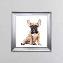 Load image into Gallery viewer, Brown Frenchie Wearing A Black Bow Tie Framed Wall Art