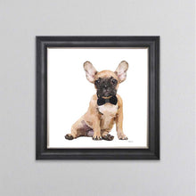 Load image into Gallery viewer, Brown Frenchie Wearing A Black Bow Tie Framed Wall Art