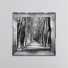 Load image into Gallery viewer, Monochrome Path Framed Wall Art