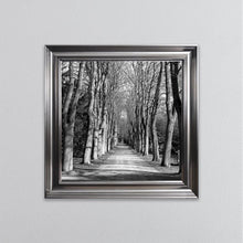 Load image into Gallery viewer, Monochrome Path Framed Wall Art