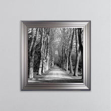 Load image into Gallery viewer, Monochrome Path Framed Wall Art