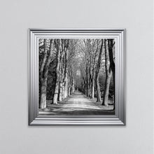 Load image into Gallery viewer, Monochrome Path Framed Wall Art