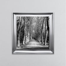 Load image into Gallery viewer, Monochrome Path Framed Wall Art