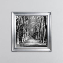 Load image into Gallery viewer, Monochrome Path Framed Wall Art