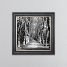 Load image into Gallery viewer, Monochrome Path Framed Wall Art