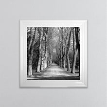 Load image into Gallery viewer, Monochrome Path Framed Wall Art