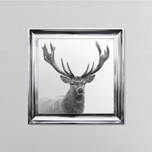 Load image into Gallery viewer, White Stag Framed Wall Art
