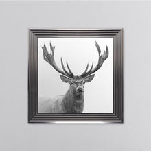 Load image into Gallery viewer, White Stag Framed Wall Art