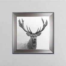 Load image into Gallery viewer, White Stag Framed Wall Art